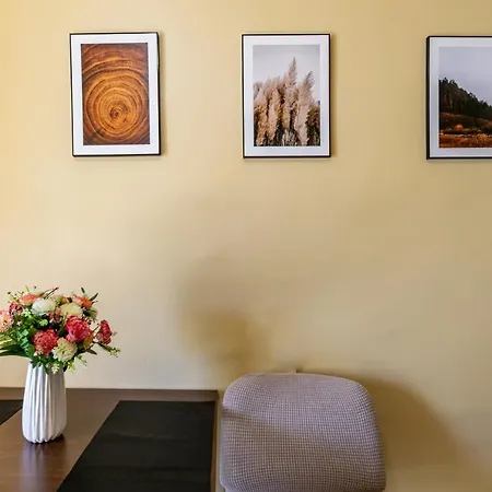 Apartament Centru - Cec *