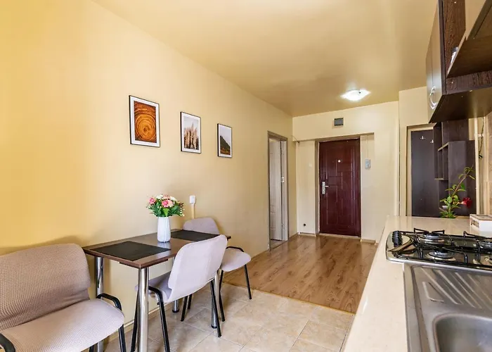 Apartament Centru - Cec 아파트