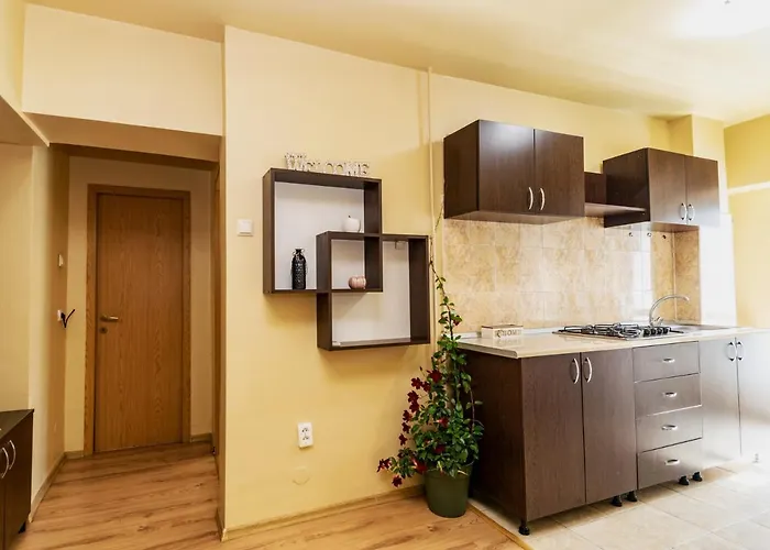 Apartament Centru - Cec 크라이오바